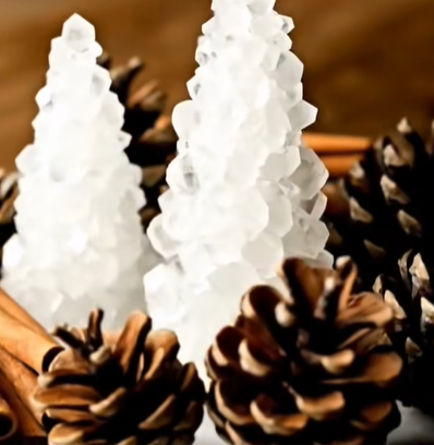 How to Grow &#8220;Baking Soda Pines&#8221; (A Simple Crystallization Experiment)